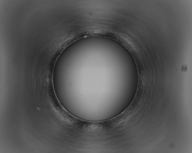 X0000091660546200708230953