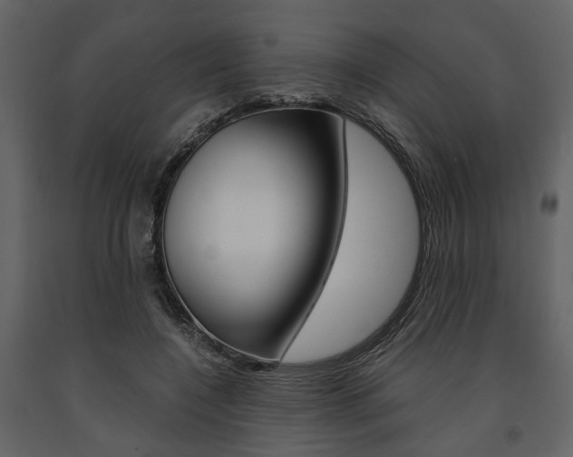 X0000091660548200708230953