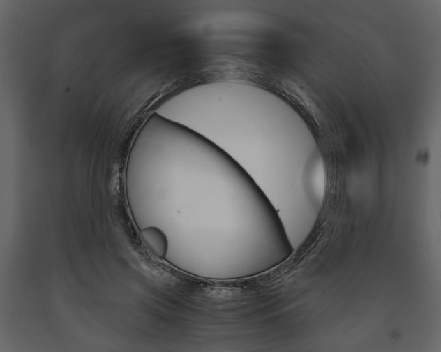 X0000091660549200708230953