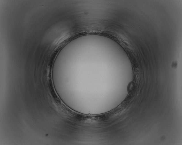 X0000091660550200708230953