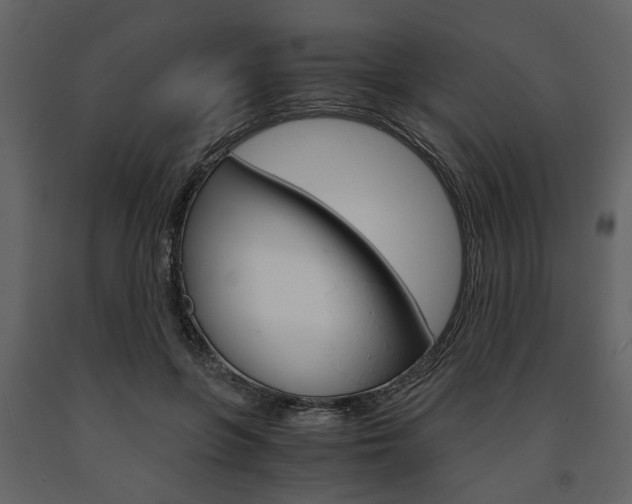 X0000091660551200708230953