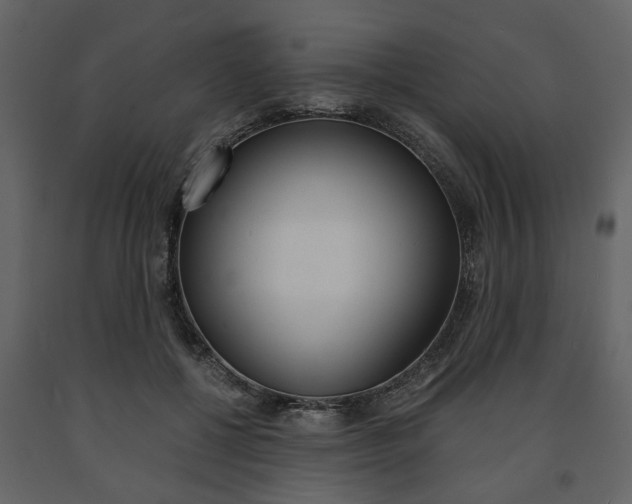 X0000091660552200708230953