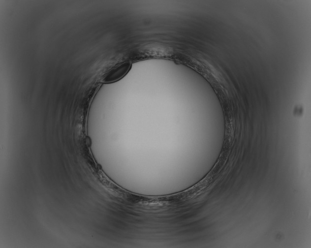 X0000091660553200708230953