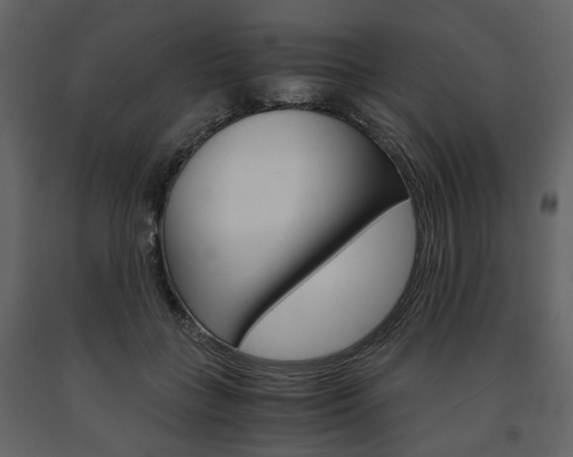 X0000091660555200708230953