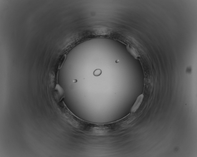 X0000091660556200708230953