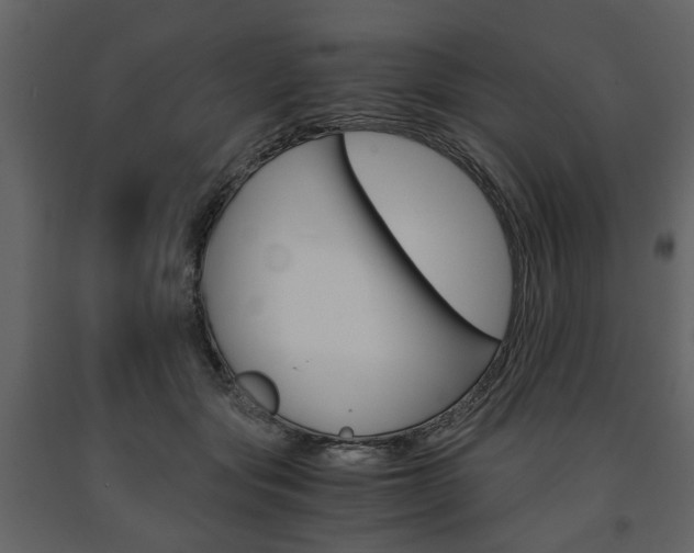 X0000091660557200708230953