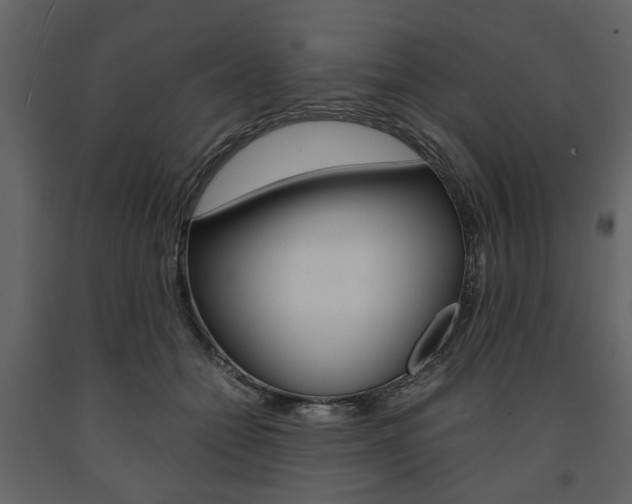 X0000091660558200708230953