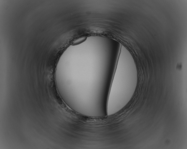 X0000091660559200708230953