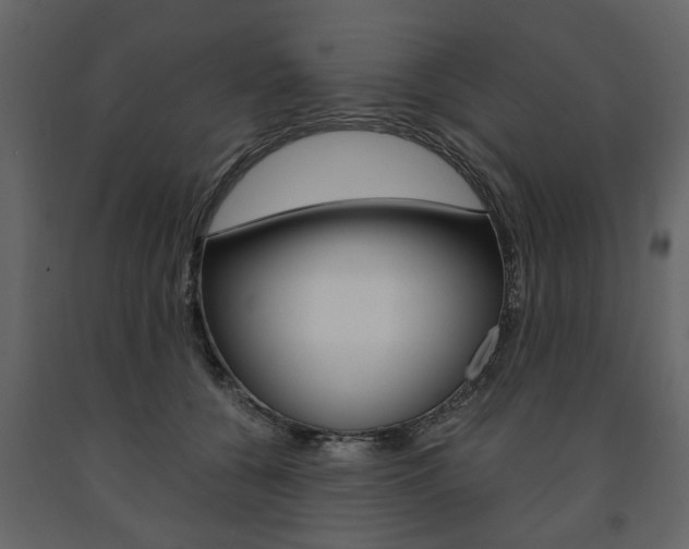 X0000091660560200708230953