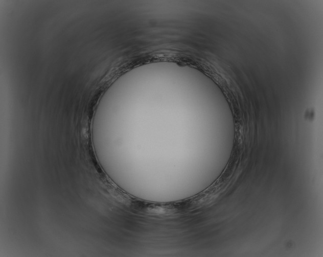 X0000091660561200708230953