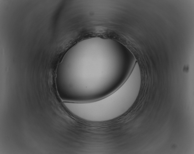 X0000091660562200708230953