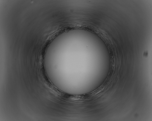 X0000091660563200708230953
