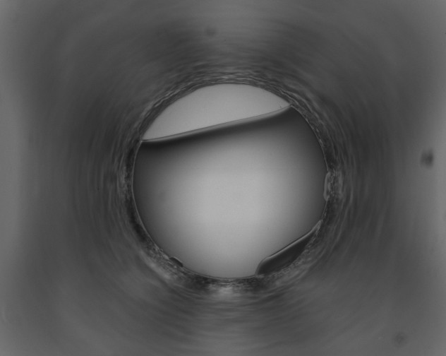 X0000091660564200708230953