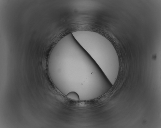 X0000091660565200708230953