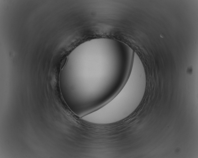 X0000091660566200708230953