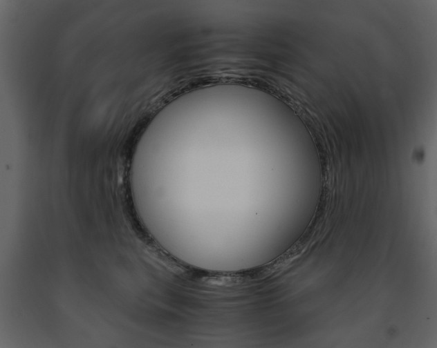 X0000091660567200708230953