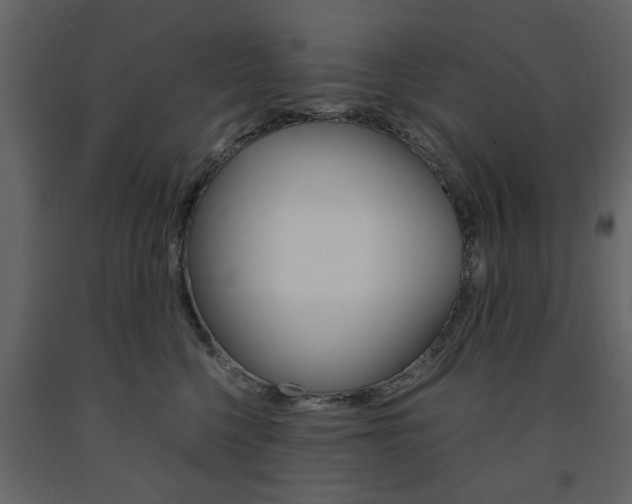 X0000091660568200708230953