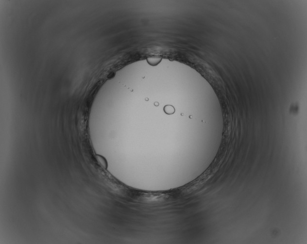X0000091660569200708230953