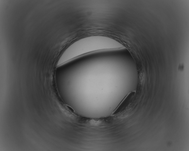 X0000091660570200708230953