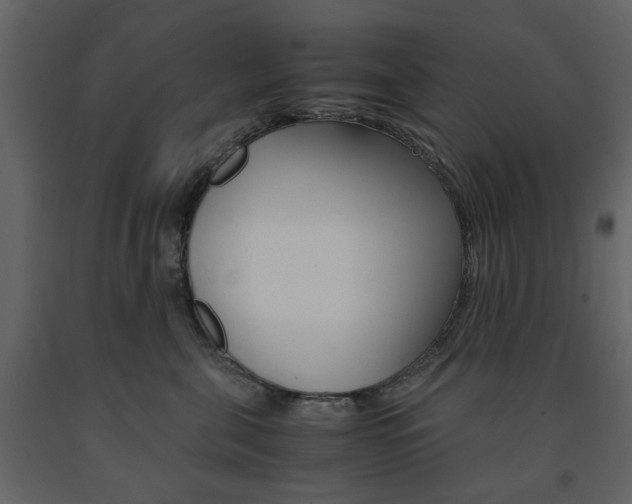 X0000091660571200708230953