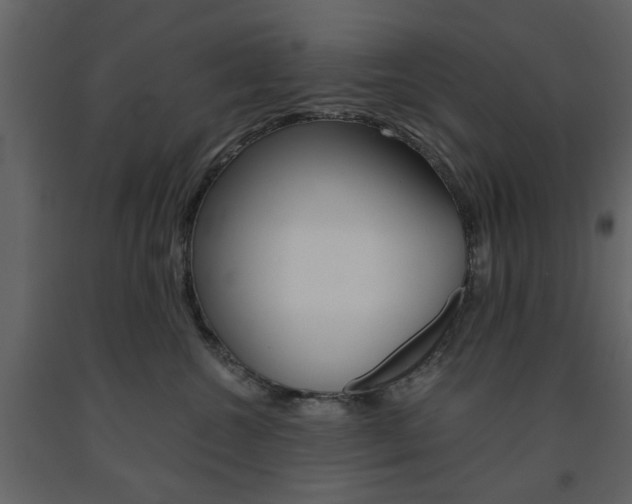 X0000091660572200708230953