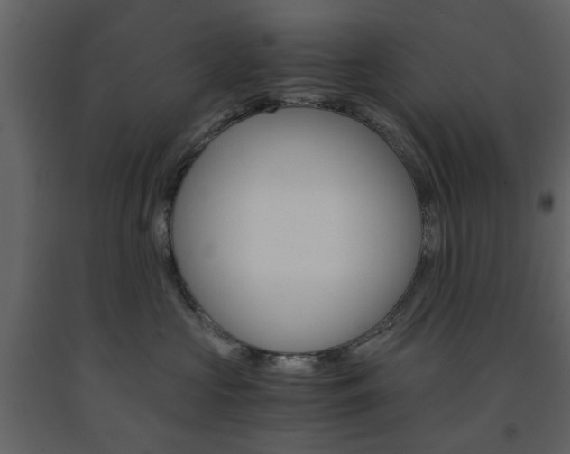 X0000091660573200708230953
