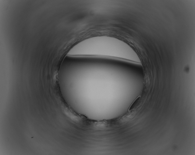 X0000091660574200708230953