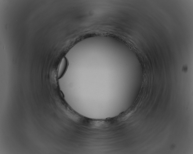 X0000091660575200708230953