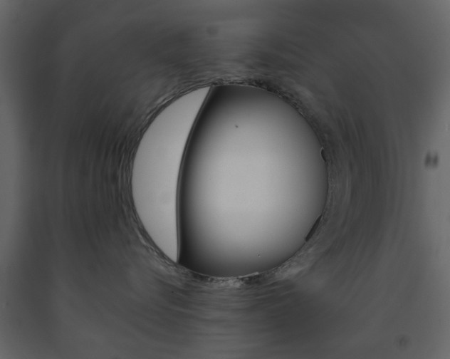 X0000091660576200708230953