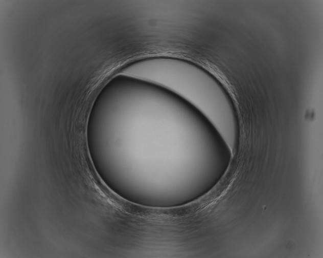 X0000091660577200708230953