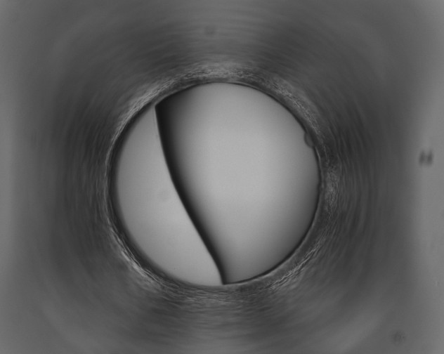 X0000091660578200708230953