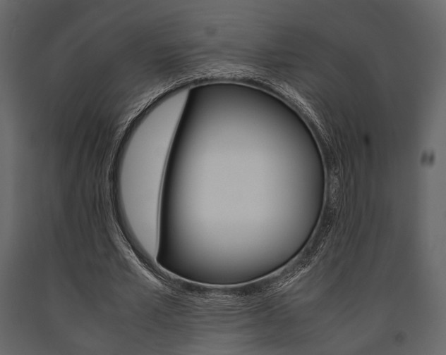 X0000091660581200708230953