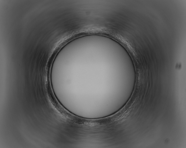 X0000091660582200708230953