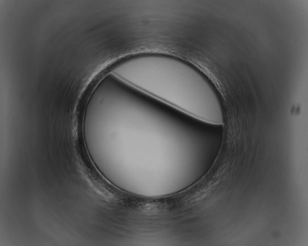 X0000091660584200708230953