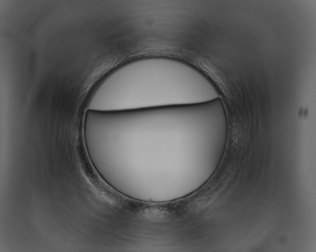 X0000091660586200708230953