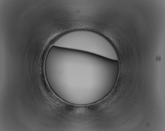 X0000091660587200708230953