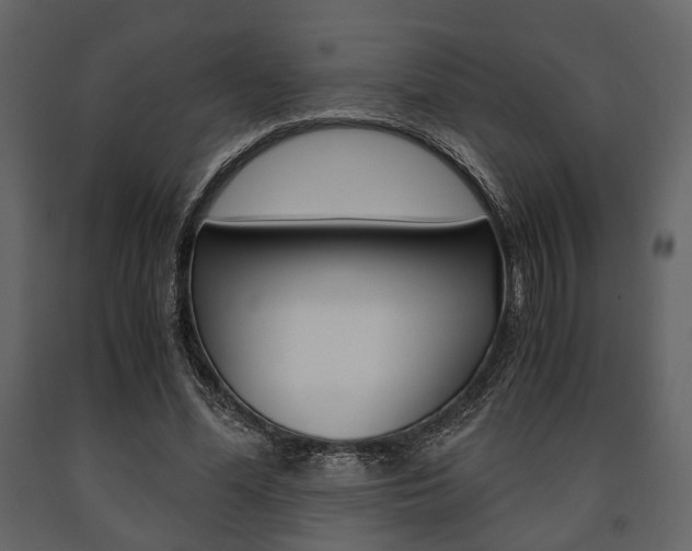 X0000091660588200708230953