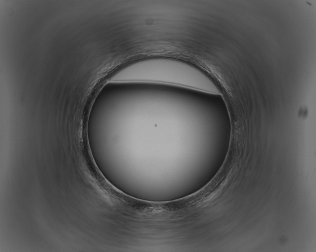X0000091660589200708230953