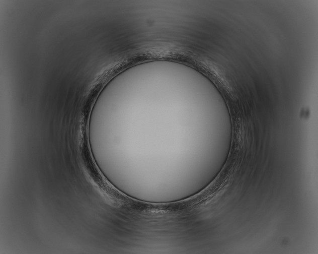 X0000091660590200708230953