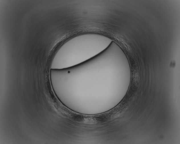 X0000091660591200708230952