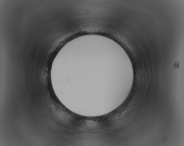X0000091660592200708230952