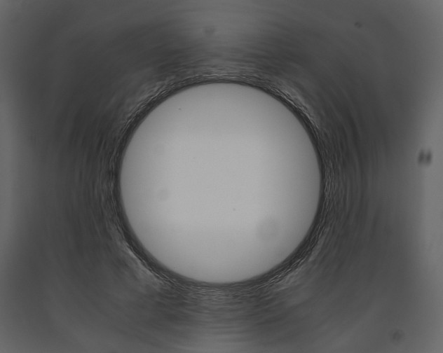 X0000091660593200708230952