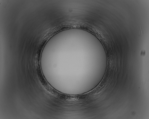 X0000091660594200708230952