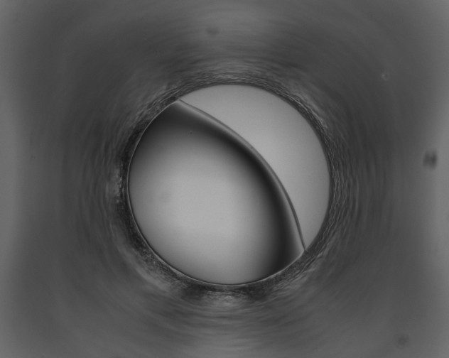 X0000091660597200708230952