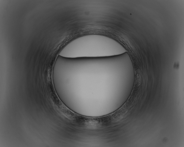 X0000091660598200708230952