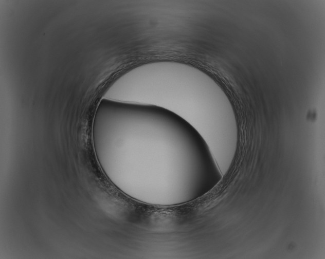 X0000091660599200708230952
