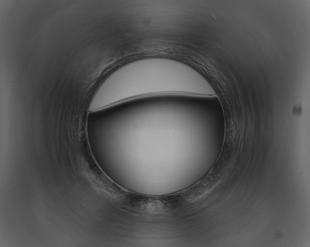 X0000091660600200708230952