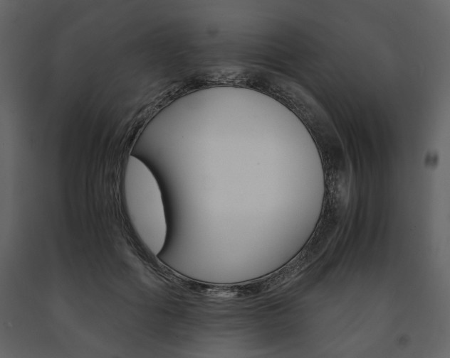 X0000091660602200708230952