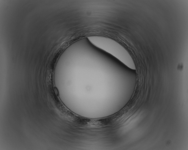 X0000091660603200708230952