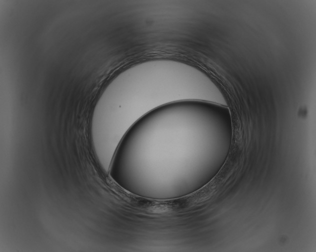 X0000091660604200708230952